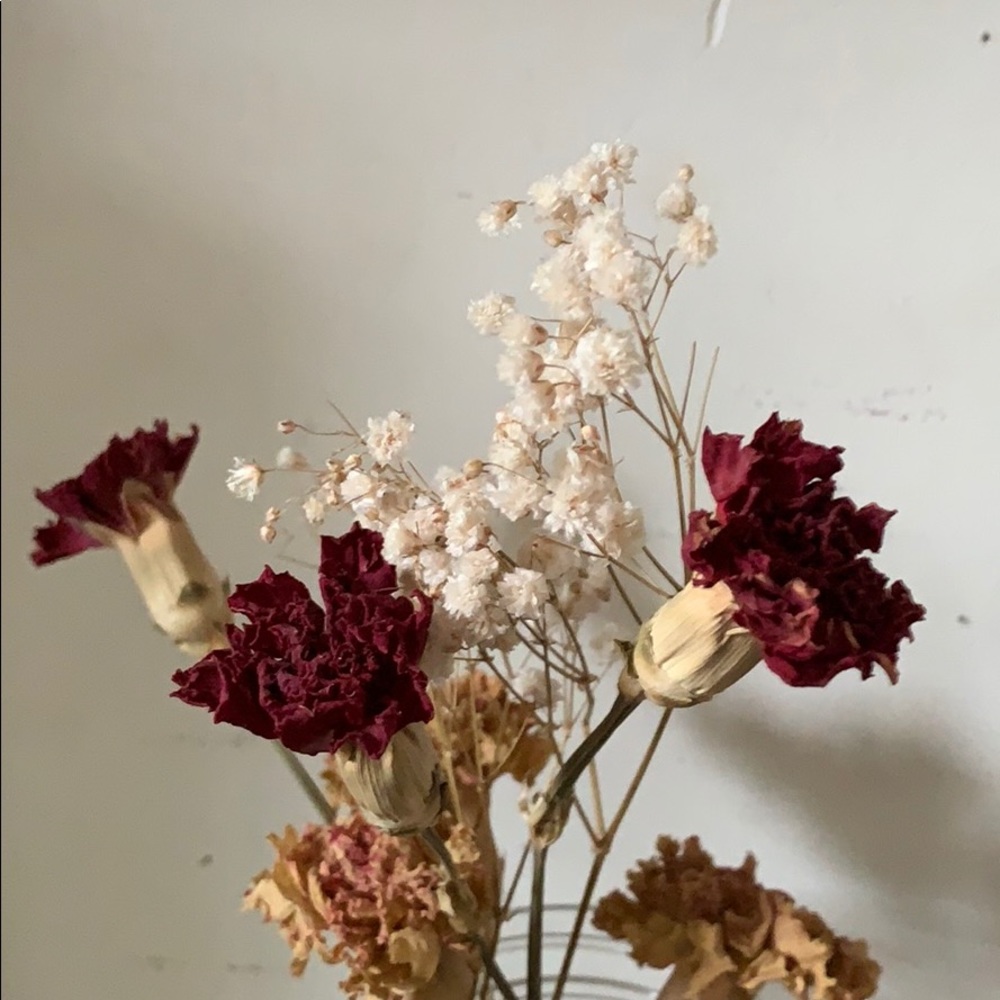 Happy fall and welcome